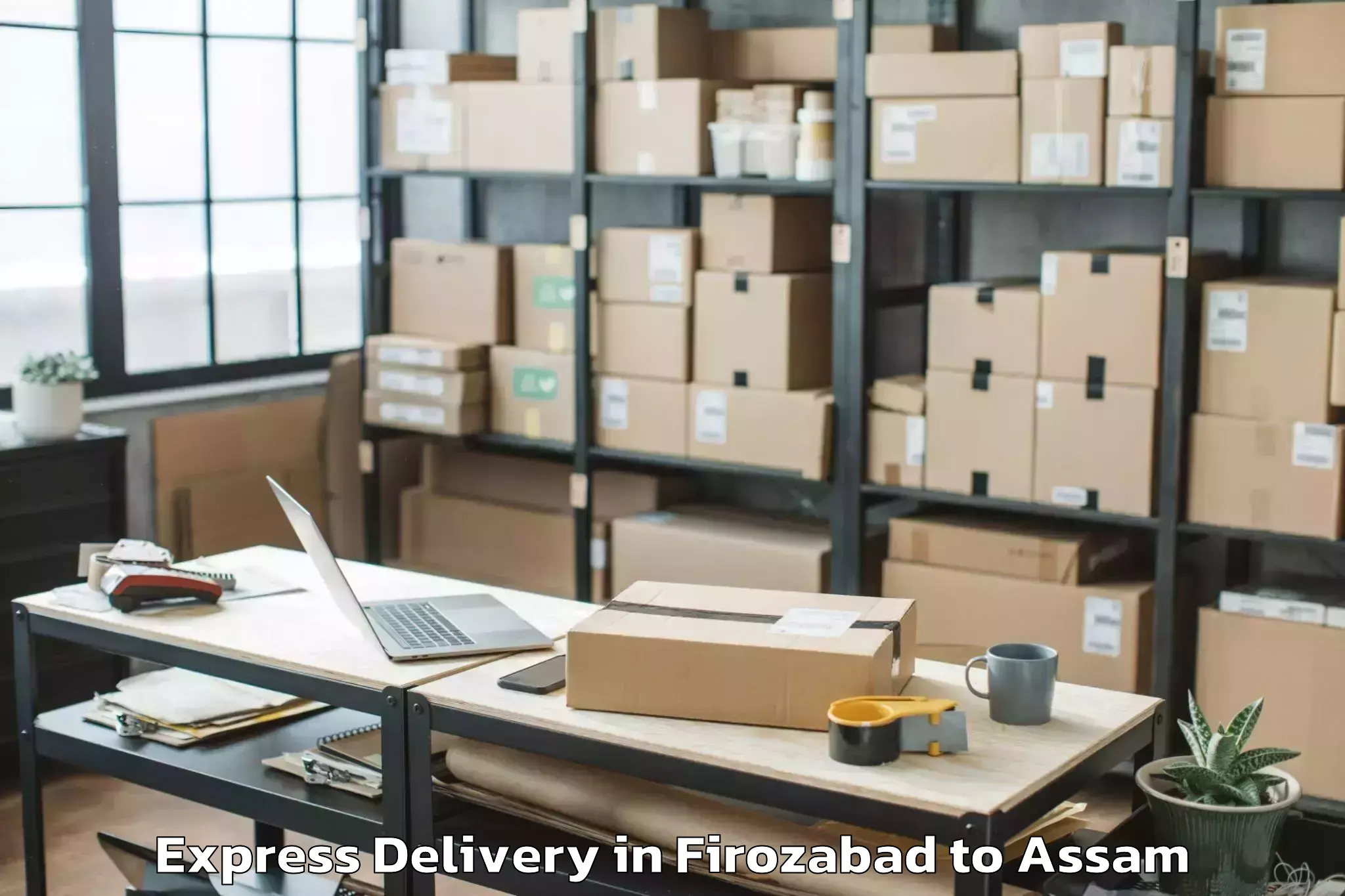 Book Firozabad to Bilasipara Pt Express Delivery